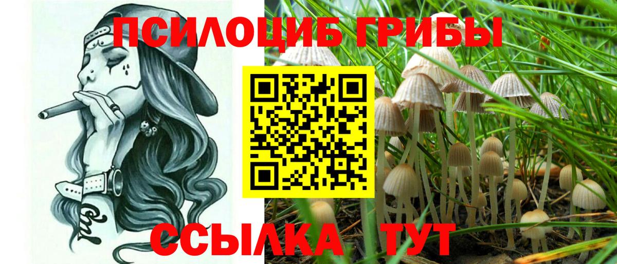 Галлюциногенные грибы прущие грибы  Псилоцибиновые грибы Psilocybe  Вход с VPN  Ессентуки 